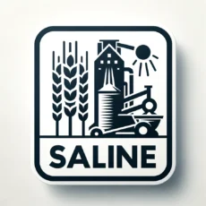 Saline
